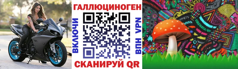 хочу наркоту  Канаш  Галлюциногенные грибы MAGIC MUSHROOMS 